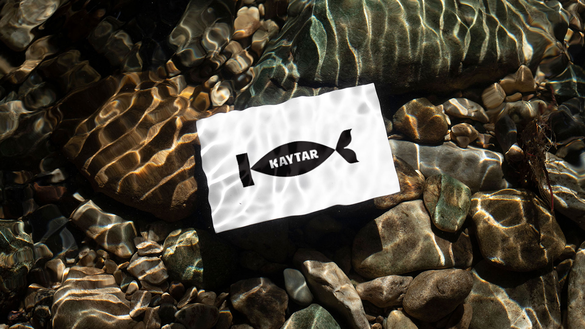 KAYTAR fish products branding