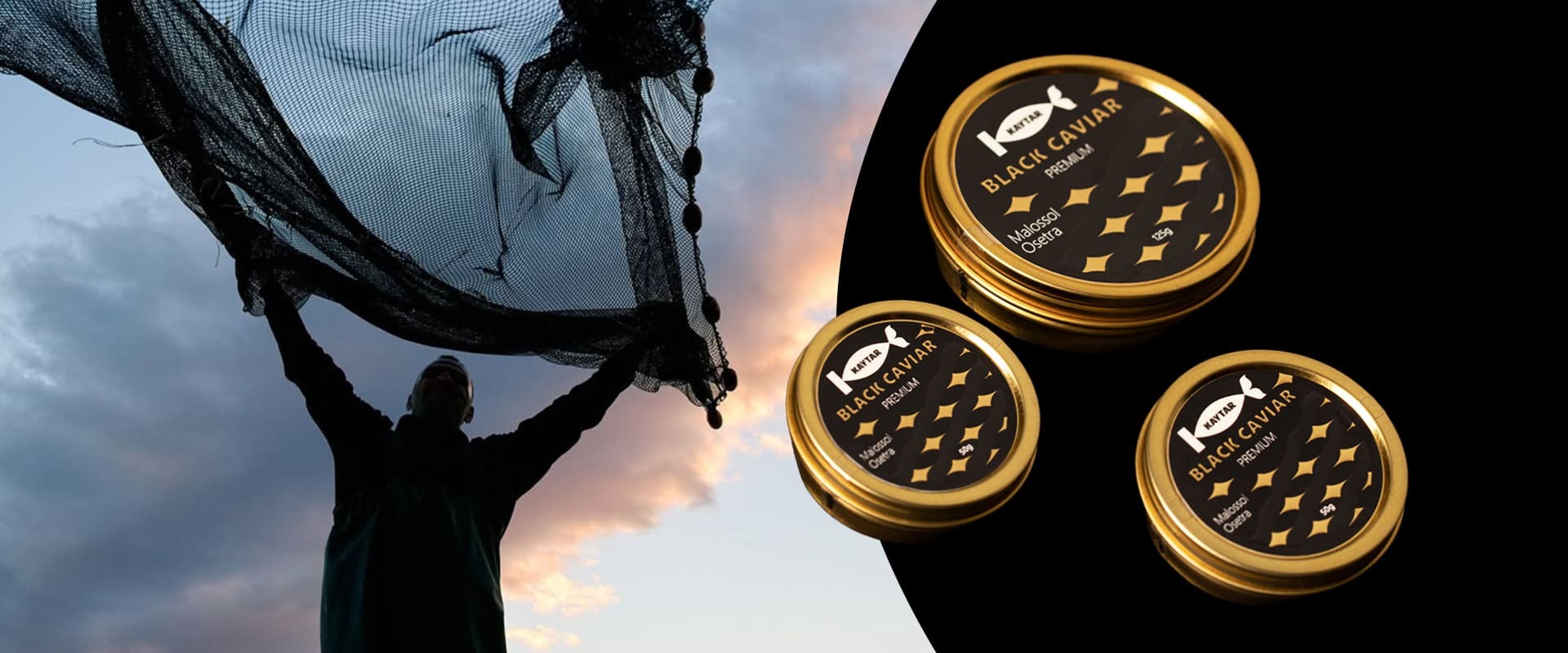 KAYTAR fish products branding