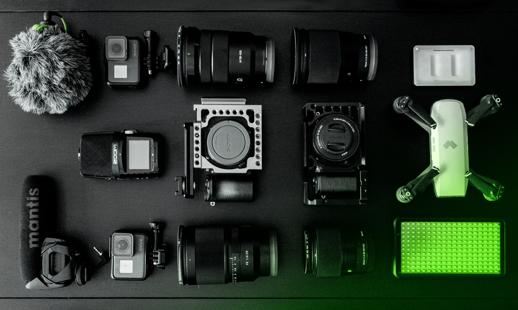 MANTIS PICTURES BRANDING