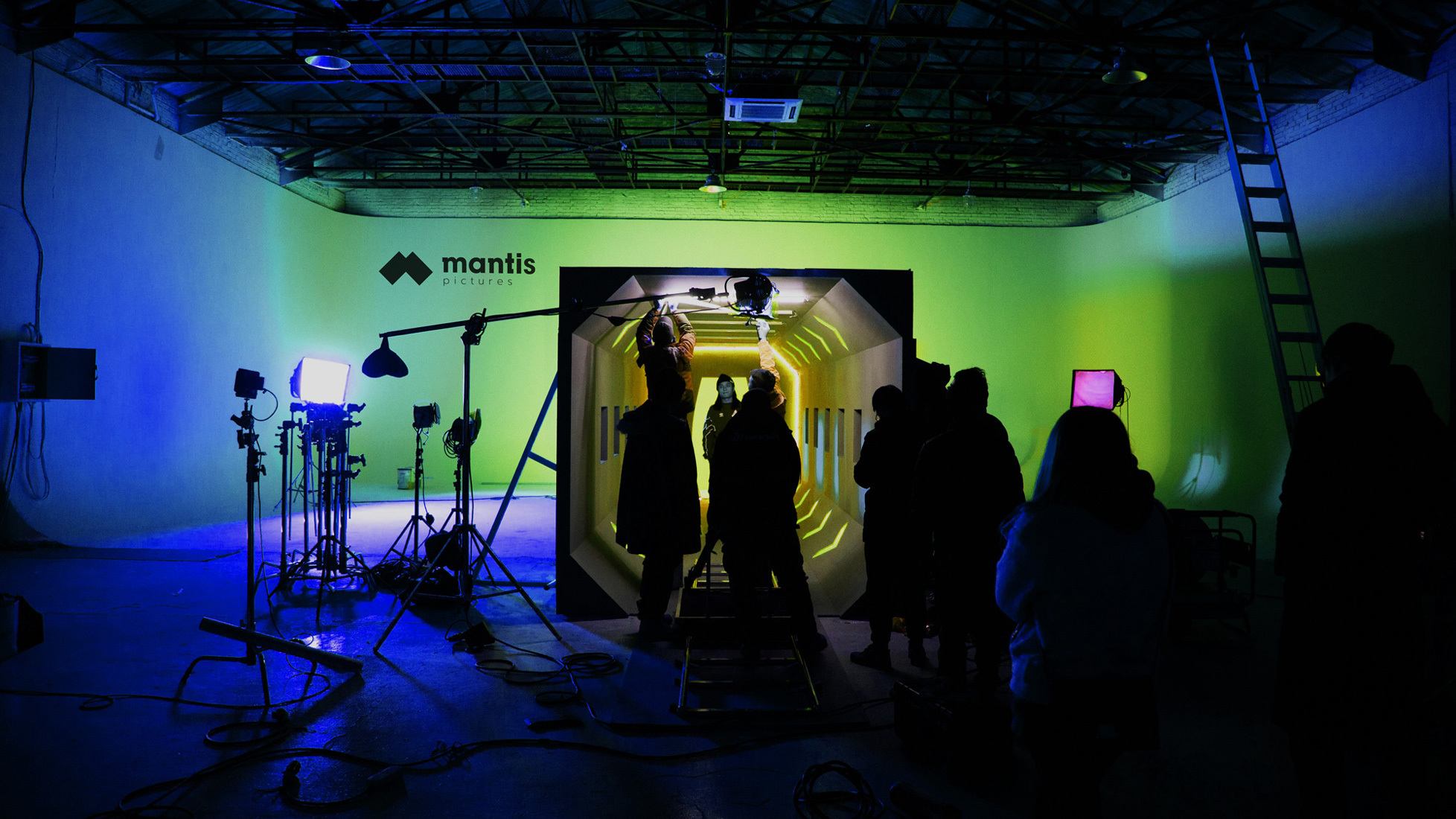 MANTIS PICTURES BRANDING