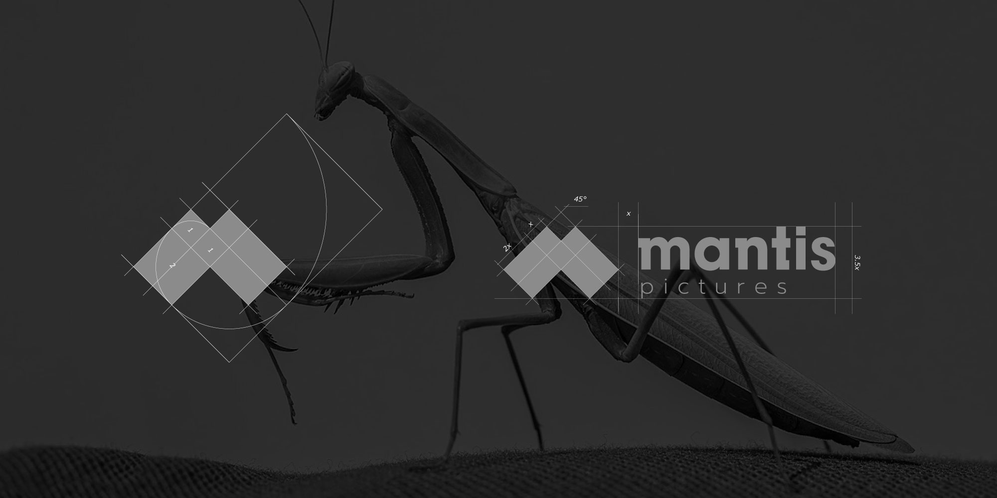 MANTIS PICTURES BRANDING