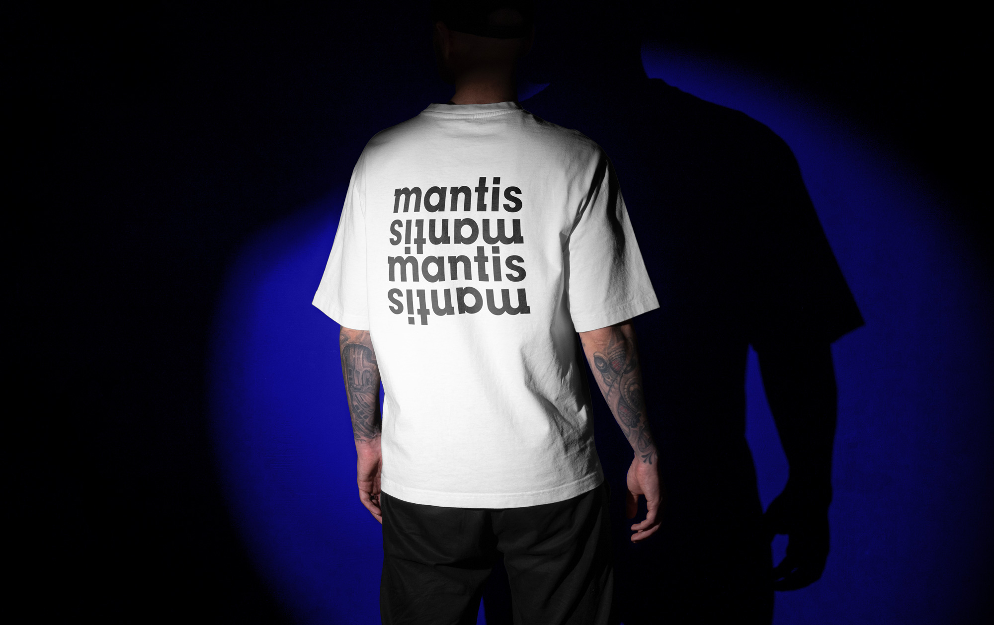 MANTIS PICTURES BRANDING