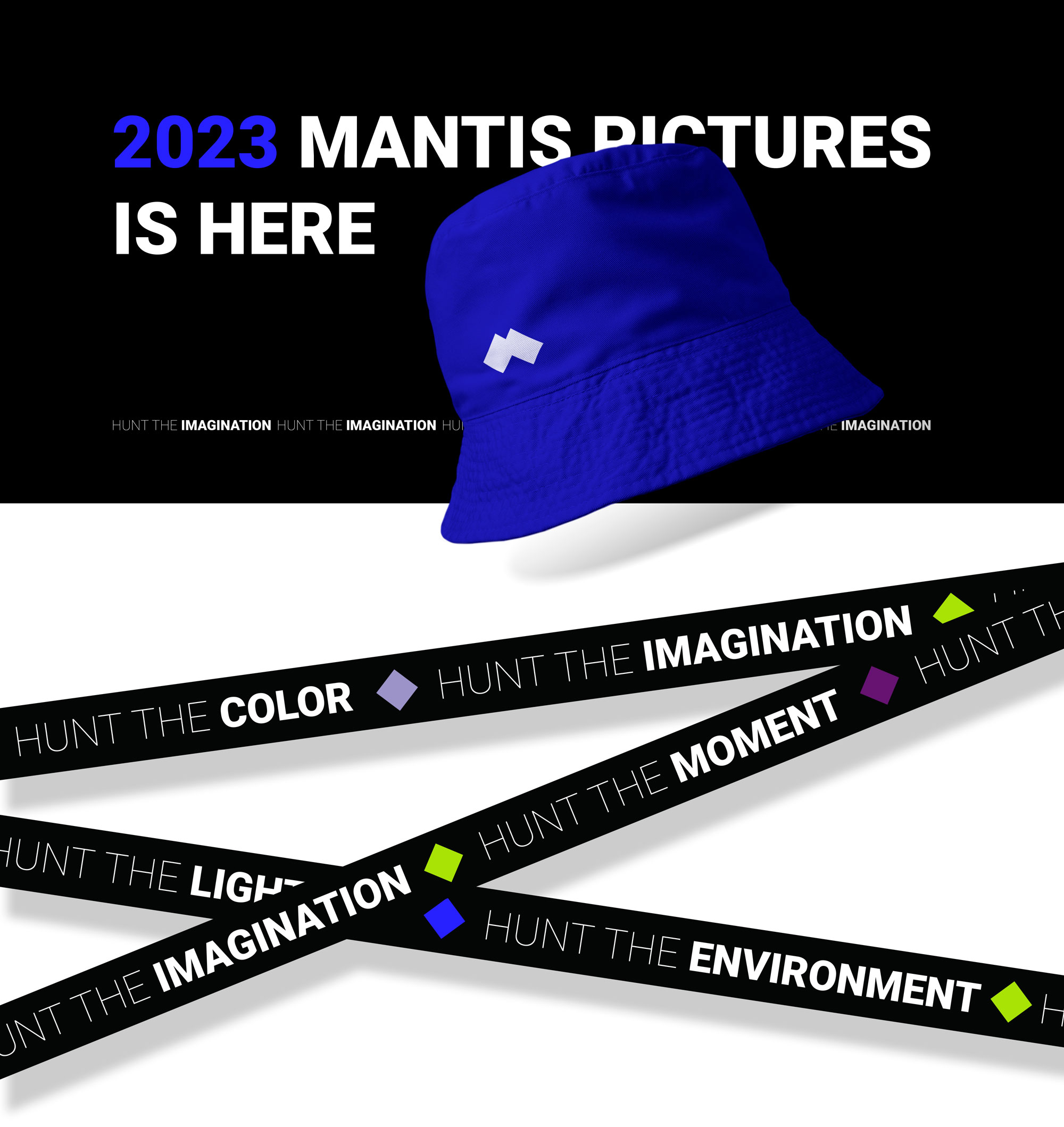 MANTIS PICTURES BRANDING